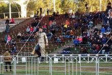 56-летний казанец стал победителем автобоев на выживание